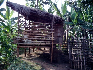 Raised goat house for a pure dairy doe donated by Heifer Project Uganda 