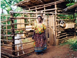 Demonstration goat house for Kayunga Dairy Goat Project, Masaka