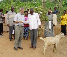 Giving a goat to a farmers group in Masaka District