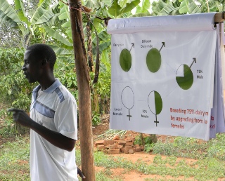 David Mukalazi training a farmers' group in Bukulula